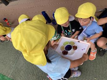 友達に作った色水を見せる4歳児