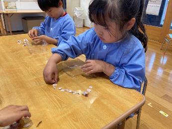 桜を並べて遊ぶ4歳児