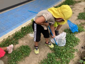 蝶々を虫網で捕まえる3歳児