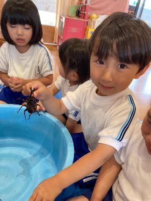 カブトムシをもつ3歳児