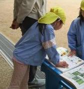 図鑑で花の名前を探す4歳児