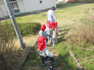 散歩でしっかり歩く0・1歳児