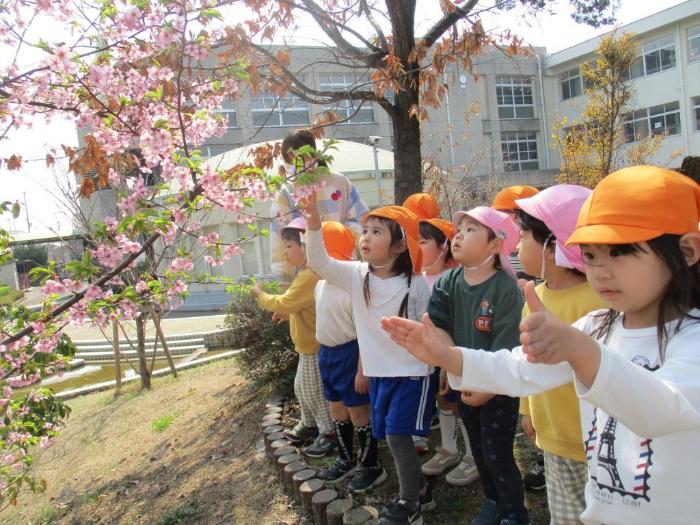 東神吉小学校の桜を見つけた園児