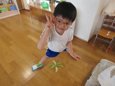 さやの星