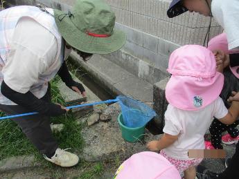 田んぼで生き物を見つけた2歳児