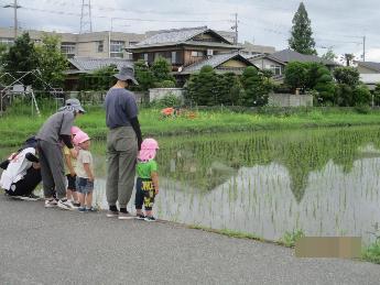 散歩の変化を見る2歳児