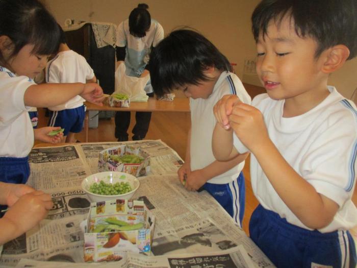 5歳さやむき