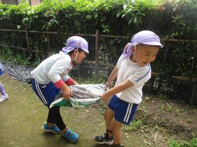 5歳土運び