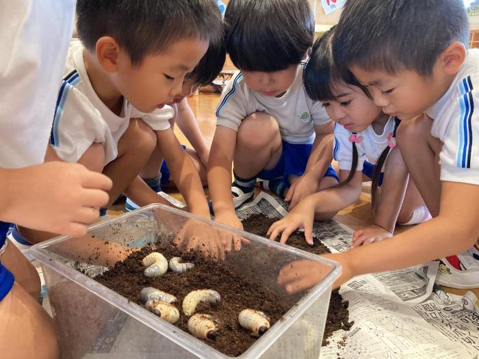カブトムシを発見した4歳児たち