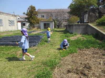 東神吉小学校の中庭で遊ぶ4・5歳児