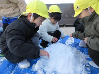 雪山とペンギンちゃん