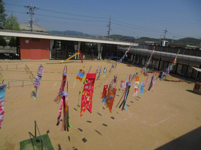 園庭に吊り下げたこいのぼり