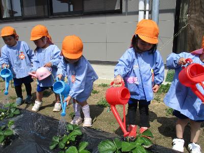 3歳児の水やり