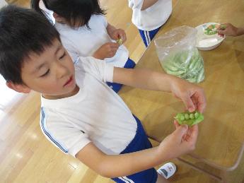 豆をみる5歳児