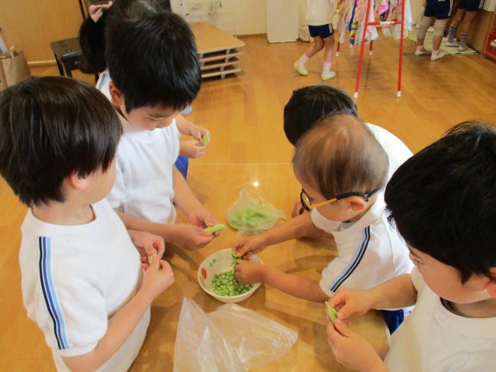 豆を鞘からとる5歳児