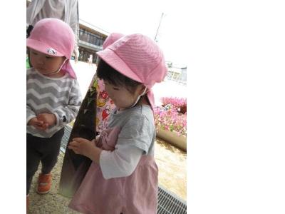 たけのこをだっこする2歳児