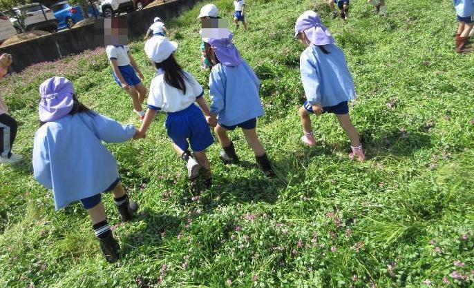 小学生とレンゲ畑で遊ぶ5歳児