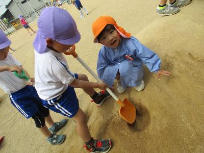 年長児の穴掘りを興味をもつ3歳児