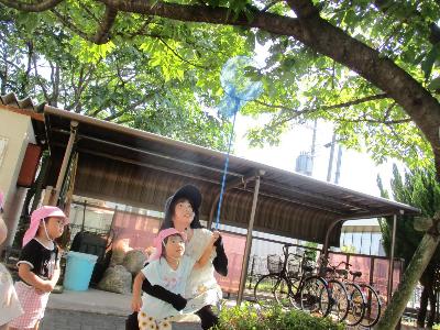 セミ取りをする2歳児