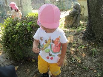 抜け殻を服に付ける2歳児