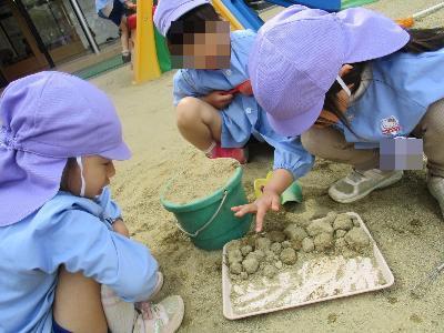 穴の中から化石のような土の塊を出す