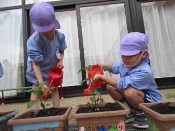水やりをする5歳児