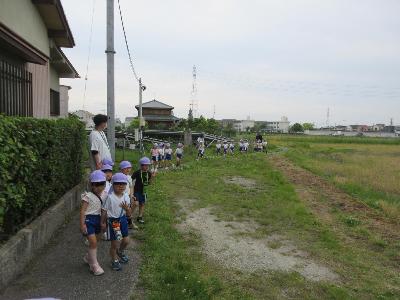 ツバメを探す5歳児たち