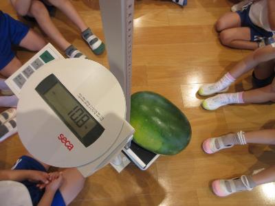 10．8キロのスイカ