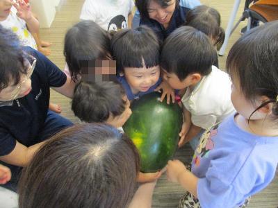 すいかに触れて遊ぶ2歳児