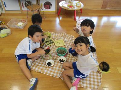 ひまわりのたくさんの種で遊ぶ3歳児