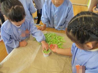 豆を触って楽しむ3歳児