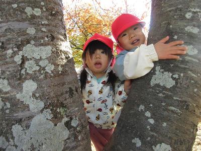 木の間から顔を出す1歳児