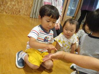 カエルを触ってみる2歳児