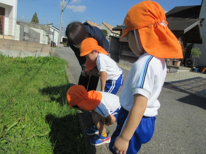 のぞきこむ