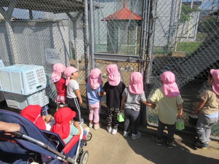 見学