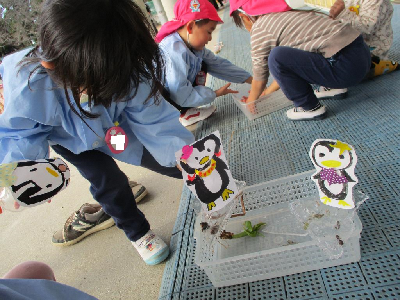 氷の上で手作りペンギンを遊ばせる4歳児
