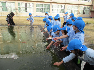 小学校で氷を見つけて大興奮の子どもたち