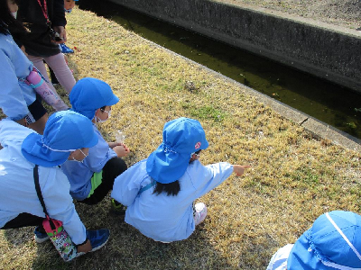 つくしを見つけた幼児