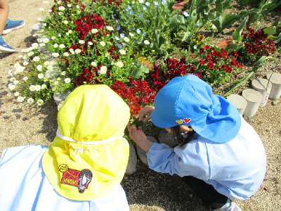 ダンゴムシを探す幼児