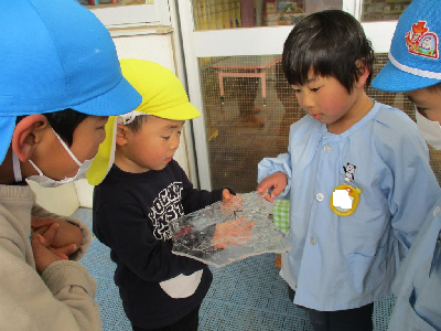 小学校でみつけた氷をほし組さんにプレゼント