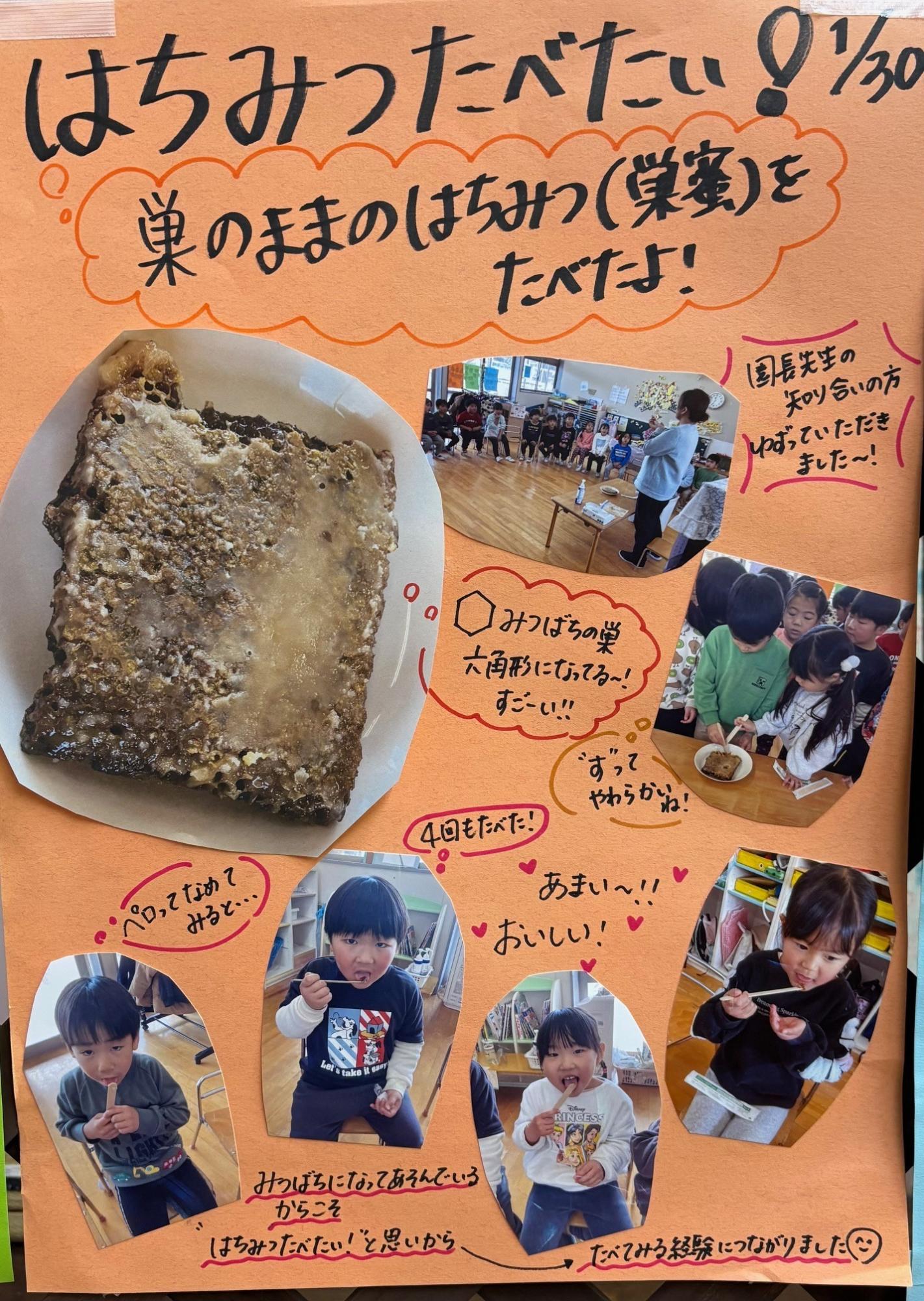 ドキュメンテーション