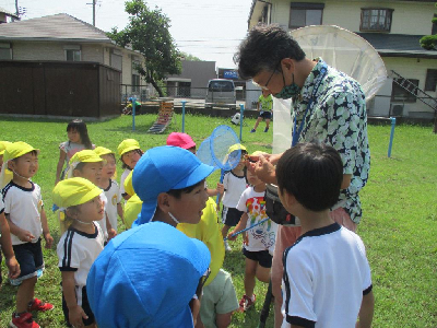 捕まえた虫を見る園児
