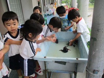 ザリガニを触る子ども達