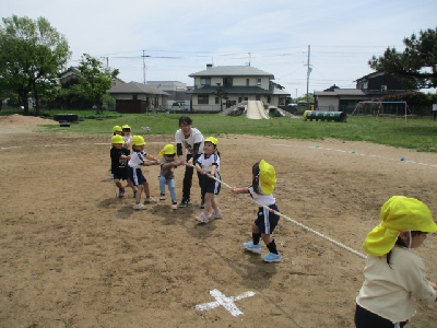 綱引きをする年少児