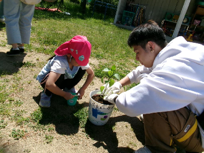 親子での苗植え