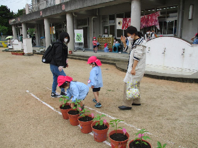 親子で水をあげるはな組