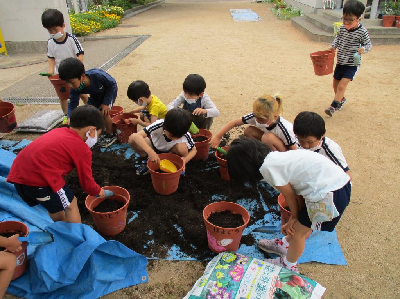 植木鉢に土を入れて、親子苗植えの準備をするそら組