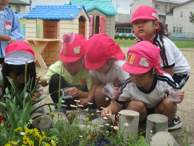 ダンゴムシを探す園児