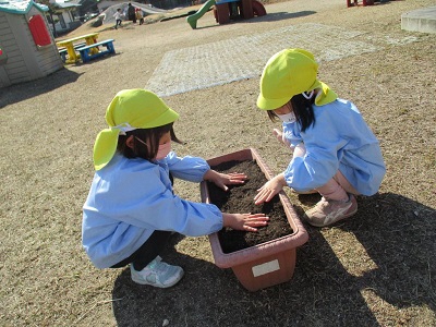 土かぶせ