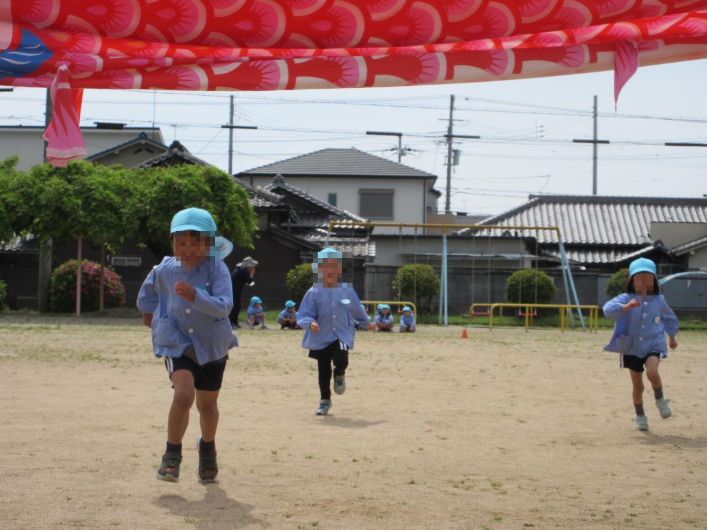 こいのぼりに向かって走るすみれ組の幼児たち